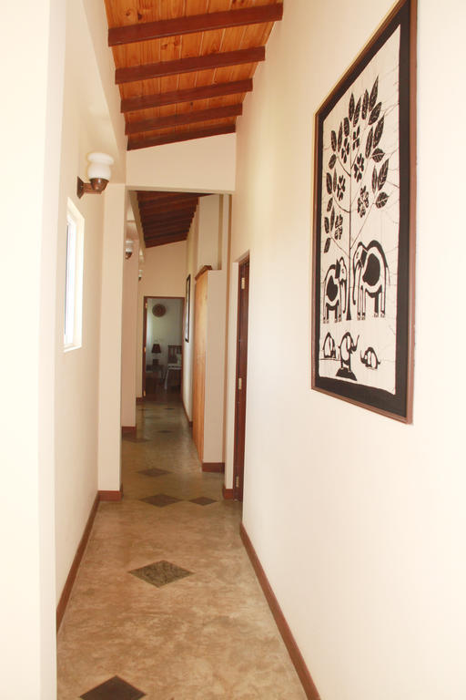 Blue Elephant Tourist Guesthouse Kudapaduwa 外观 照片
