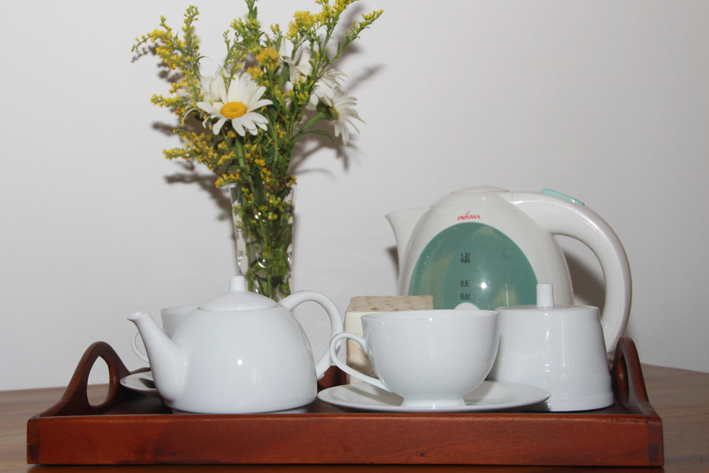 Blue Elephant Tourist Guesthouse Kudapaduwa 外观 照片