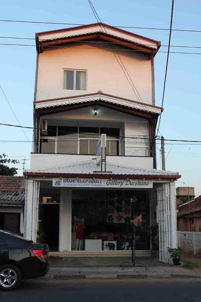 Blue Elephant Tourist Guesthouse Kudapaduwa 外观 照片